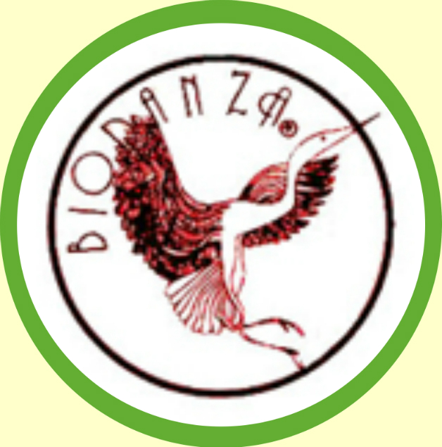 Wat is Biodanza